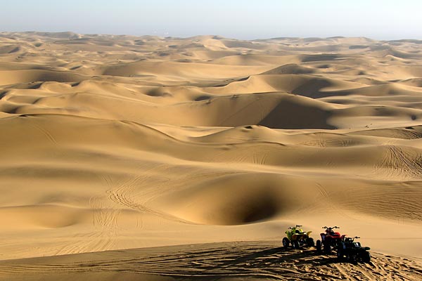 Desert Guide